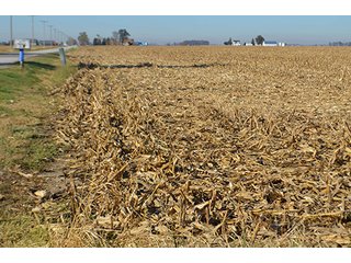 Tract 1 - FARMLAND AUCTION - 165.5+/- ACRES OFFERED IN 5 TRACTS OR COMBINATIONS IN EAST ALLEN COUNTY